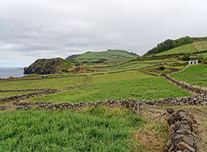 Verdi campi sulla costa (Sentiero dei Fortes de S&atilde;o Sebasti&atilde;o).
