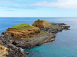 Fortes de São Sebastião e Porto Martins