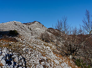 Scorcio lungo la Cresta Sud del Monte Malaina, lato orientale.