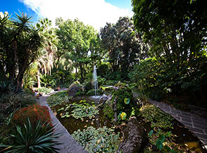 La Fontana grande ai Giardini la Mortella (Forio d&rsquo;Ischia).