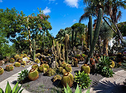 Giardini Ravino