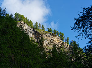 Finestra nel bosco (Rifugio Toesca).