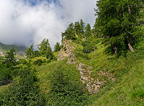 Scorcio lungo il sentiero 519 per Porta del Chiot.