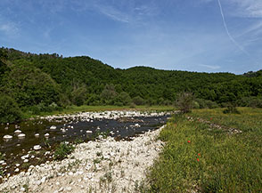 Il Fiume Salto nei pressi del Ponte Moleminto.