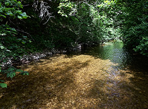 I raggi di sole che raggiungono l&rsquo;alveo del fiume ci regalano bellissimi riflessi sull&rsquo;acqua cristallina.