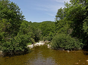 Il dolce paesaggio ripariale che ci accompagna lungo il tratto a monte delle gole (Fiume Salto).