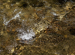 &ldquo;Acqua briosa&ldquo; (Gole del Salto).