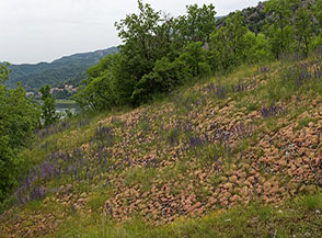 Scorcio di paesaggio lungo il sentiero per Macchiatimone.