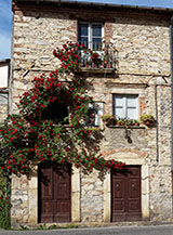 &ldquo;Rose rosse&ldquo; (Granara).