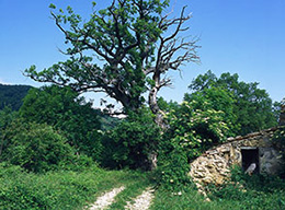 Gole dell'Inferno Spaccato