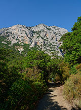 In vista delle pareti della Costa Silana che precedono le Gole di Gorropu.
