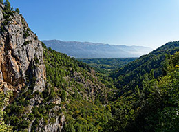 Gole di San Venanzio