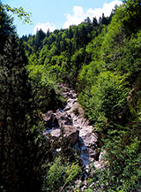 Il letto asciutto di un torrente nella Alta Valle di Cassiglio.