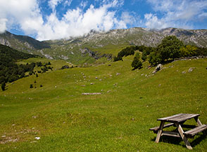 La verde conca del Pialeral.
