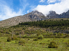 Sui prati ai piedi di Colle Pelato, di fronte al Velino.
