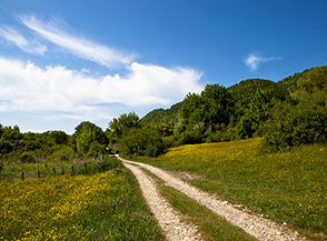 La bucolica pista che attraversa i campi della Valle le Prata.