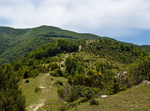 I prati che segnano l&rsquo;inizio della dolce Cresta Nord del Monte Faito.