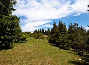 I prati che da nord precedono la cima di Monte Faito.