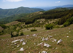 Uno sguardo al versante occidentale di Monte Faito.