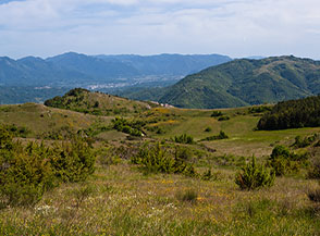 La dolce valle pascoliva di Pezza della Donna.