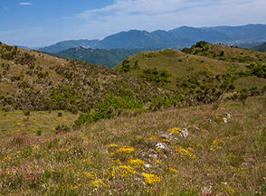 Fioriture multicolore sui prati di Pezza della Donna.
