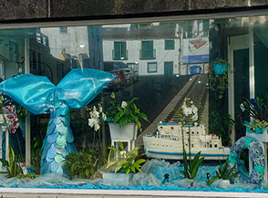 &ldquo;La coda azzurra&ldquo; (vetrina a Horta).