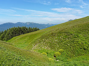 A pochi minuti dalla partenza si &egrave; circondati dai vasti pendii prativi sotto Passo della Croce Arcana.
