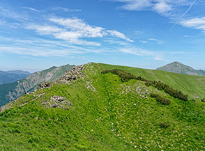 Tratto sommitale della Cresta Est di Cima Tauffi.