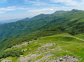 Vista sui boschi del Fosso Piaggiacalda.