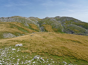 Da Cima Colli dell&rsquo;Arganello il proseguimento del percorso verso la cresta sommitale delle Mainarde.