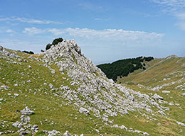 i Gemelli del Fraolito e Monte Forcellone