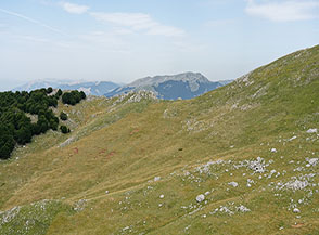 Affaccio sul catino prativo della Forestella oltre cui si nota la piccola punta rocciosa di Cima Costa delle Cese.