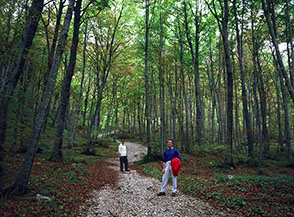 All&rsquo;inizio del sentiero per il Fondo della Salsa.