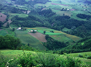 Scorcio sulle verdi colline intorno ad Arsita.