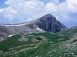 il Murolungo