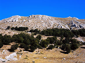 Scorcio sui fianchi della Cresta Est del Morrone nei pressi di Fonte Salamone.