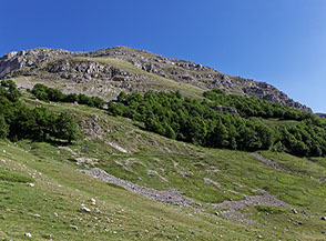 Scorcio alle pendici della Cresta Ovest del Murolungo.