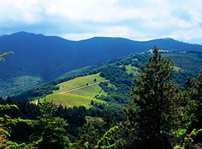 Vista sui prati di Colle Galluccio.