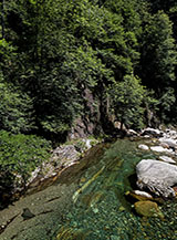 Il Rio Pogallo al Ponte della Buia a valle.