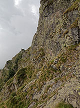 Profili di roccia a Monte Torrione.