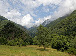 Dai campi di Pogallo vista verso il ramo dx della Val Pogallo Alta, quello del Rio Pianezzoli.
