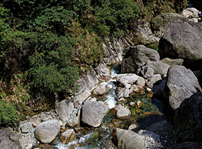 Il Rio Pogallo scorre veloce e cristallino verso valle.