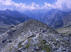 Sul filo della morena fossile del Ghiacciaio Occidentale di Monte Pioda.
