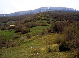 Ingresso Grotta di Vaccamorta