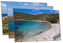 Isola dell'Asinara
