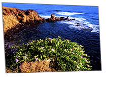 Isola di Ustica