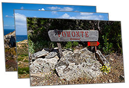 Isole del Mediterraneo