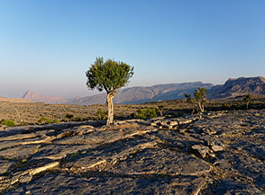 Alba sui monti (Jebel Shams Resort).