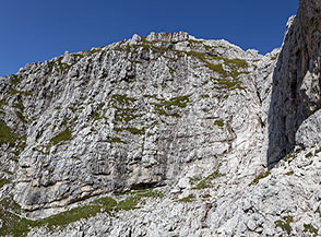 Vista sul Versante Sud del J&ocirc;f Fuart dal Sentiero Anita Goitan.