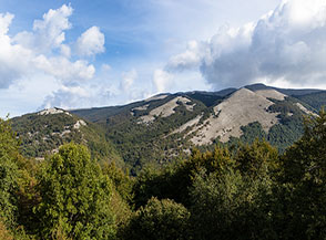Affaccio sui boschi di Vallivona (Serra degli Sprovieri) alle pendici sud-occidentali del Cervati.